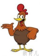 很聪明的大公鸡