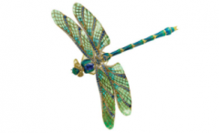 蜻蜓与蚂蚁的故事