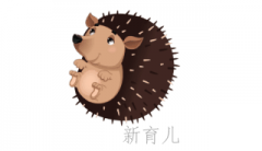 故事之小刺猬做美容