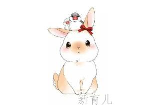 灰灰兔与黄鹂鸟