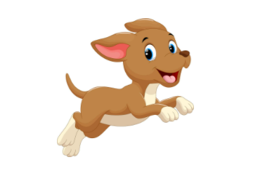 黑蚂蚁和黄蚂蚁