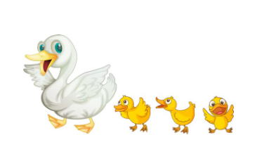 找不到家的小刺猬